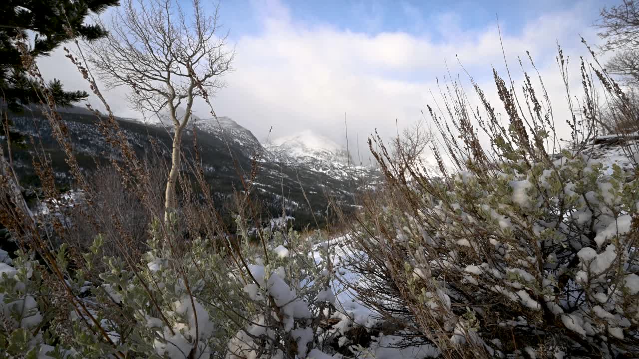 落基山国家公园的哈利特峰，前景是云和灌木视频下载