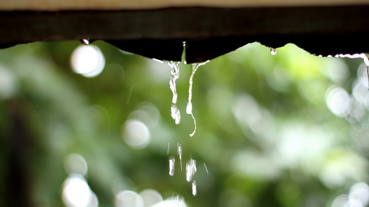 降雨视频素材