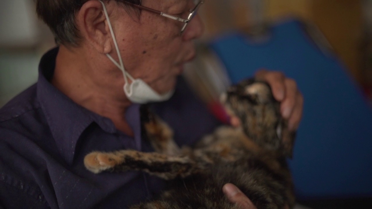 老男人在屋里抚摸一只猫。视频素材