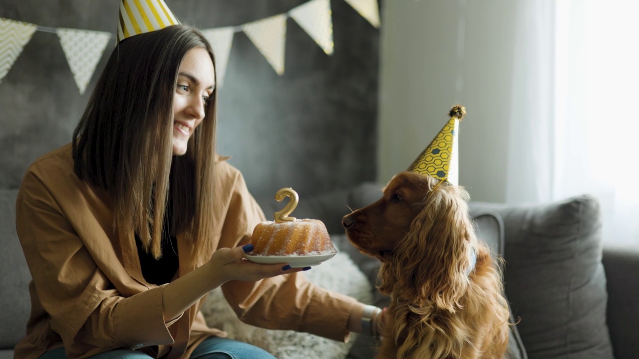 女人和狗狗一起庆祝狗狗的第二个生日视频下载