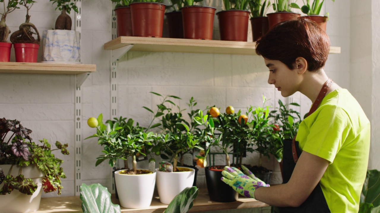 美丽的花店女人照顾他的植物在花店她拿了一些花盆，并安排他们在货架上视频素材