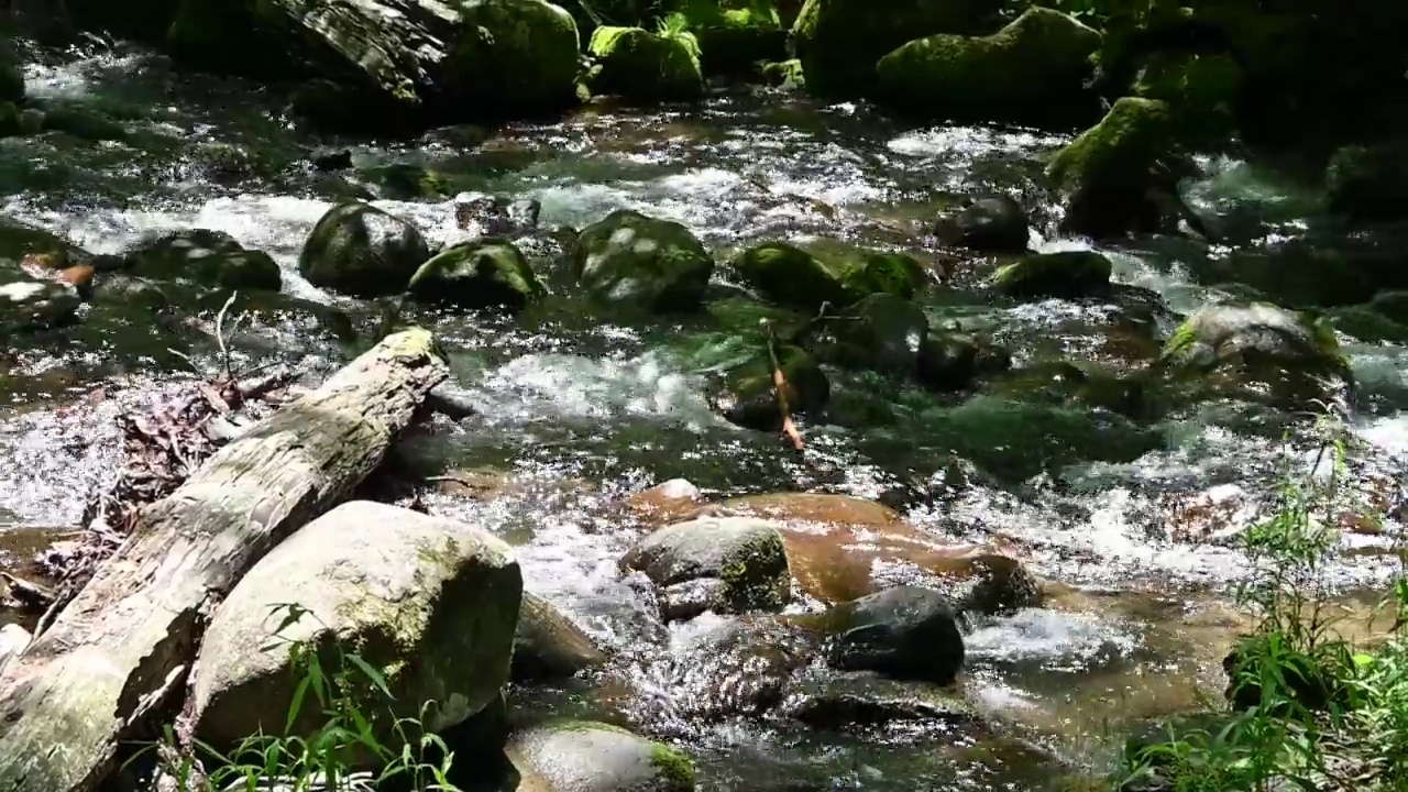 高山流水视频素材