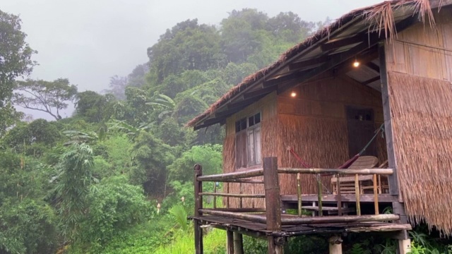 在一个雨天，森林中央的一个小茅屋。视频素材