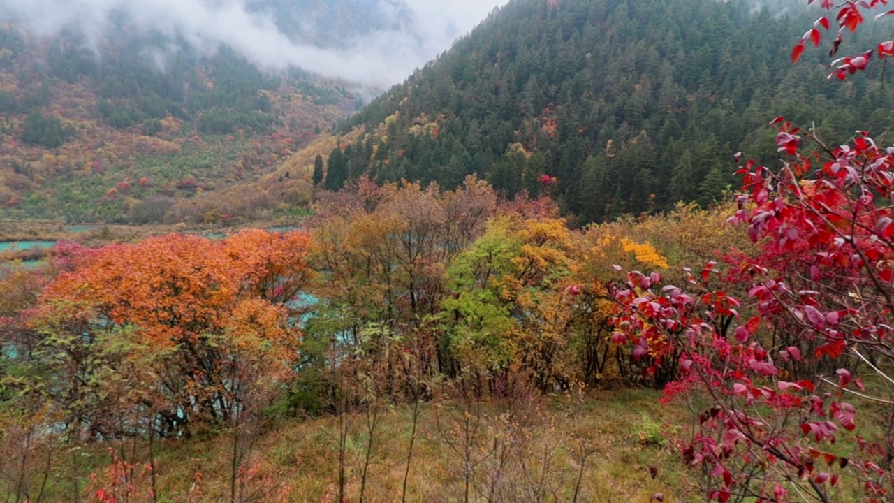 中国，风景秀丽，四川九寨沟，风景名胜区视频素材