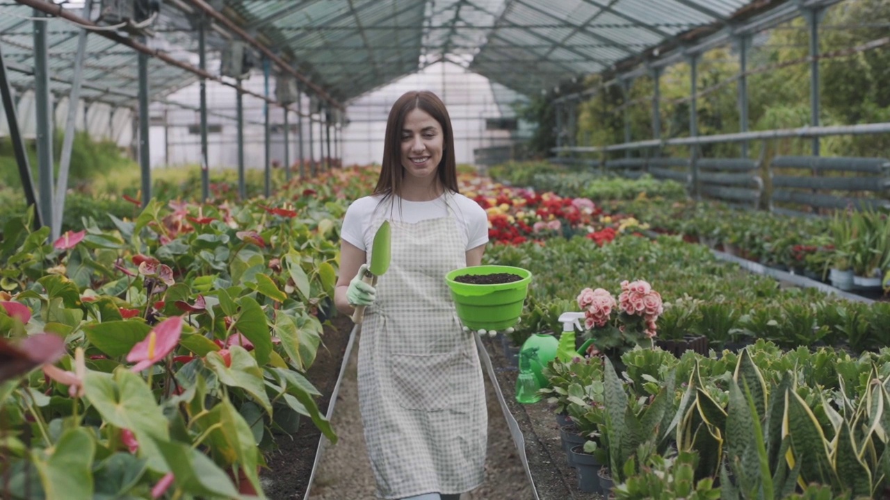 美丽的女花商移植和照顾植物在温室。慢动作视频素材