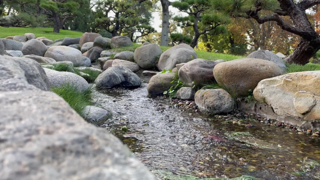 小溪流在布宜诺斯艾利斯日本花园(Jardin Japones)，公共花园在布宜诺斯艾利斯，阿根廷。4K分辨率。视频素材