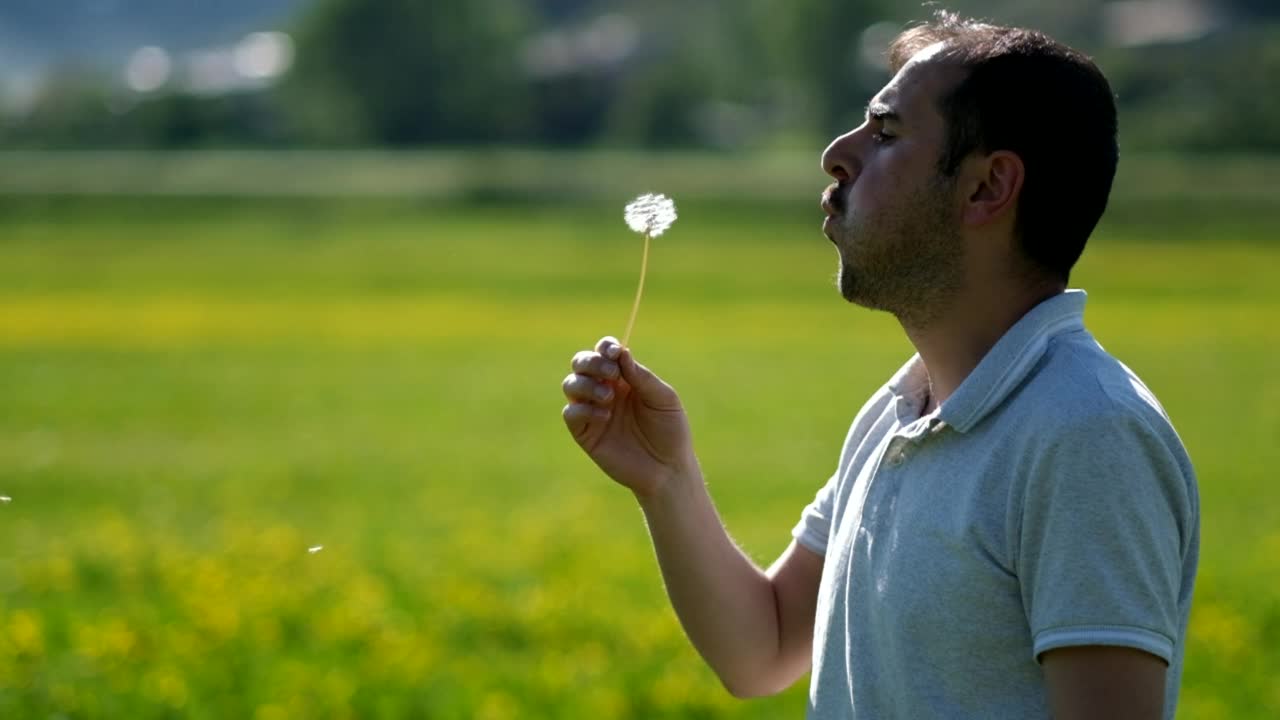 吹到蒲公英视频素材