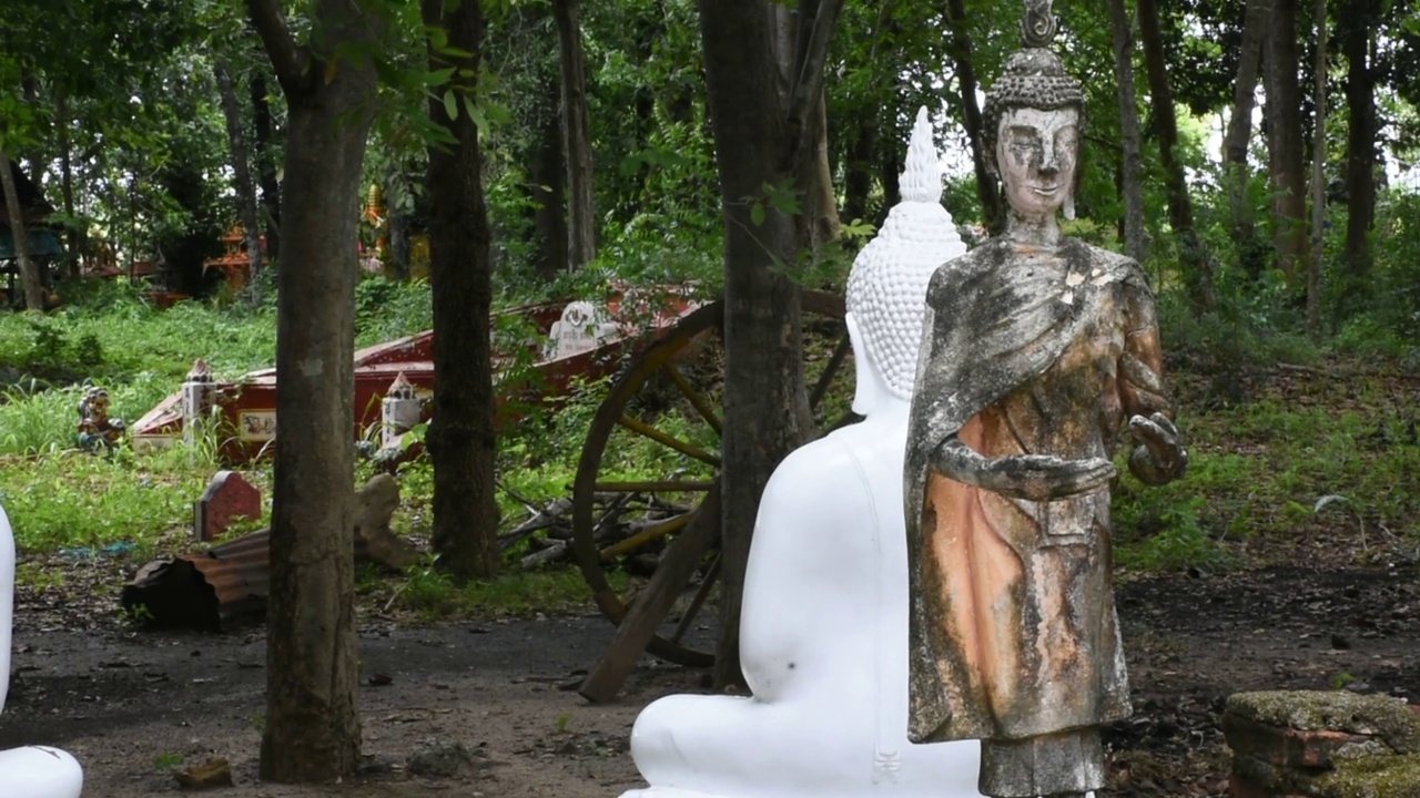 泰国柴纳寺佛寺废墟中的古代佛像视频素材