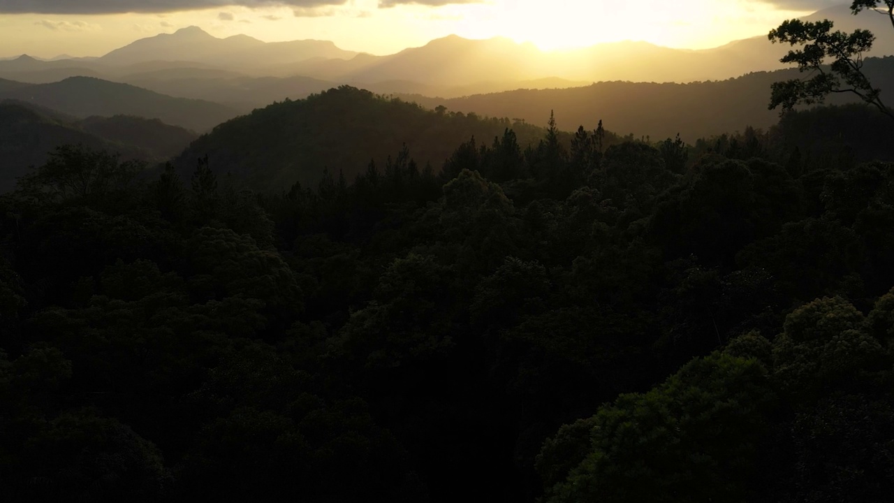 夕阳下的丛林和山脉。视频素材