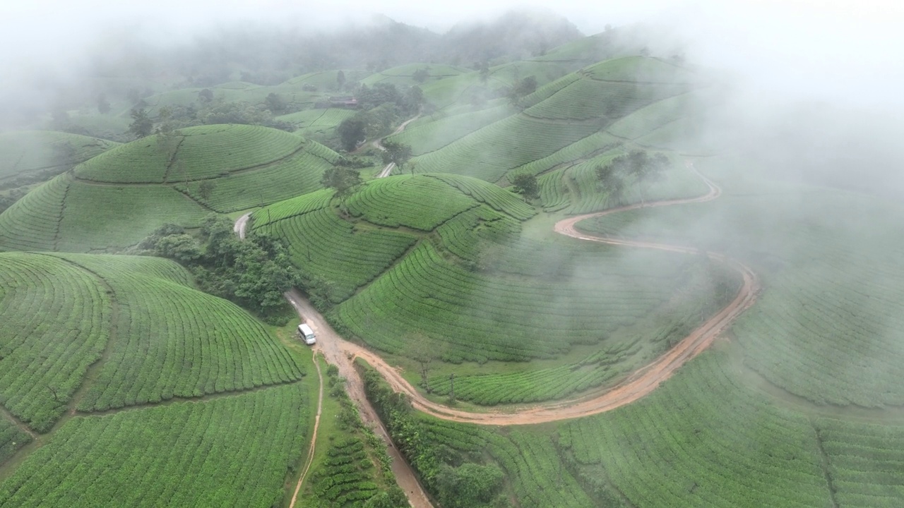 在越南北部的富寿省龙寇克(Long Coc)，在山上的茶园梯田上飞行的无人机镜头视频素材