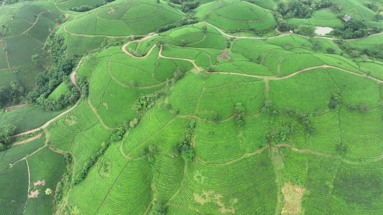 在越南北部的富寿省龙寇克(Long Coc)，在山上的茶园梯田上飞行的无人机镜头视频素材