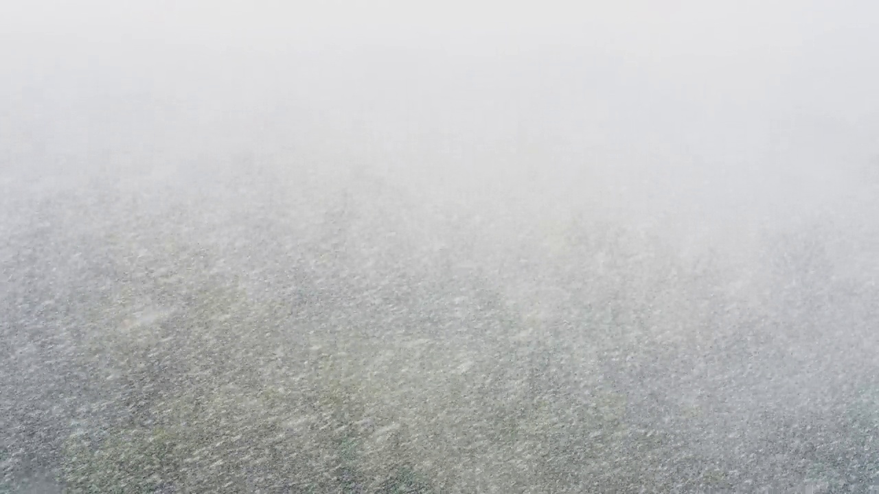 春天的森林里飘满了绿色的树木，俯瞰下的雪花视频下载