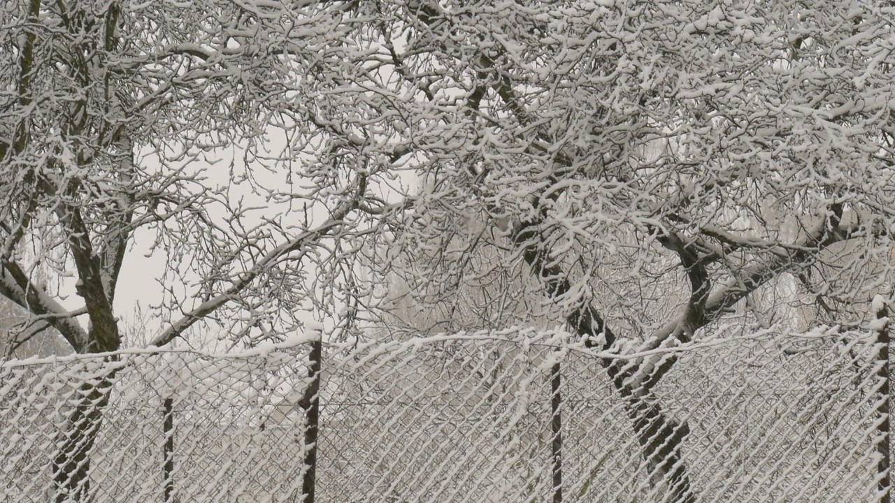 花园里下了一场大雪。视频素材