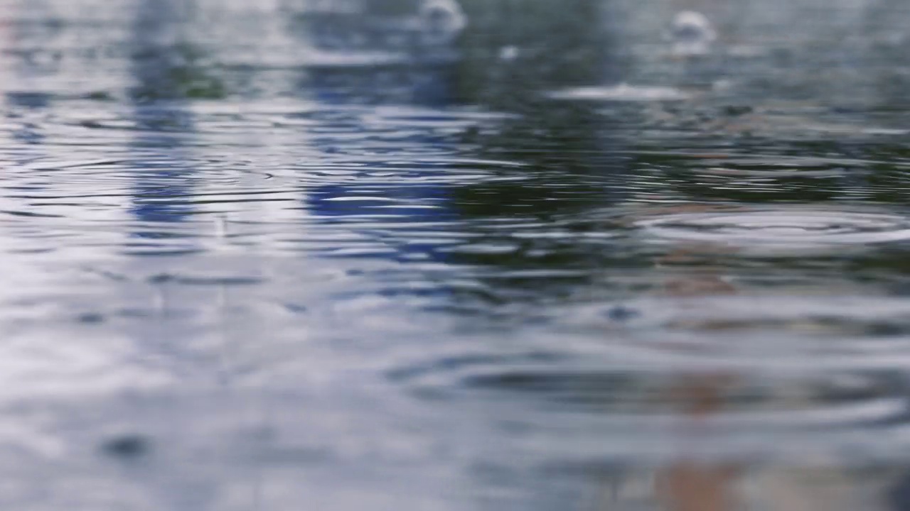 水坑在坠落的雨视频素材