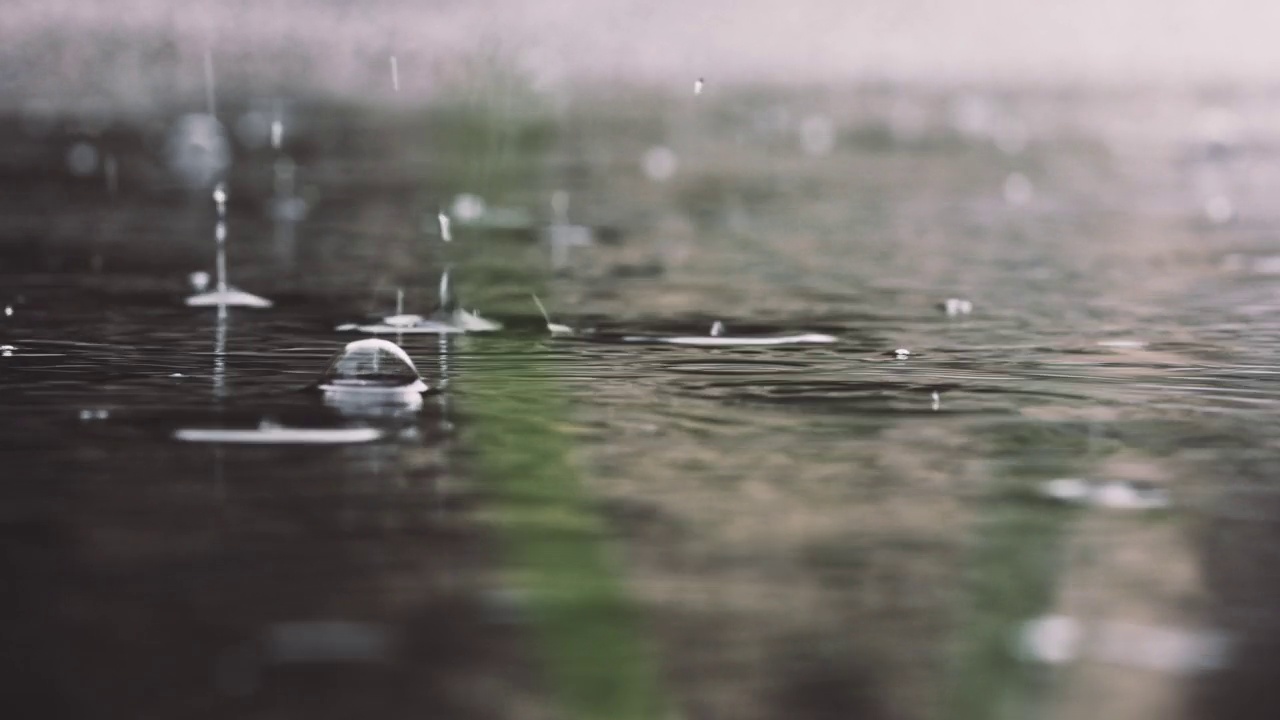 夏雨视频素材