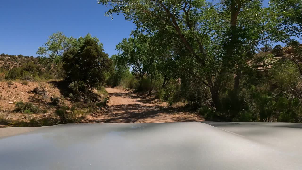 犹他州Brushy Basin Road上的Fording溪视频素材