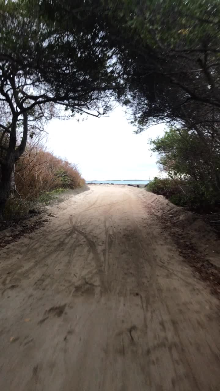 观点。伊莎贝拉岛日落时间的观点。加拉帕戈斯岛，厄瓜多尔，拉丁美洲骑自行车。视频素材