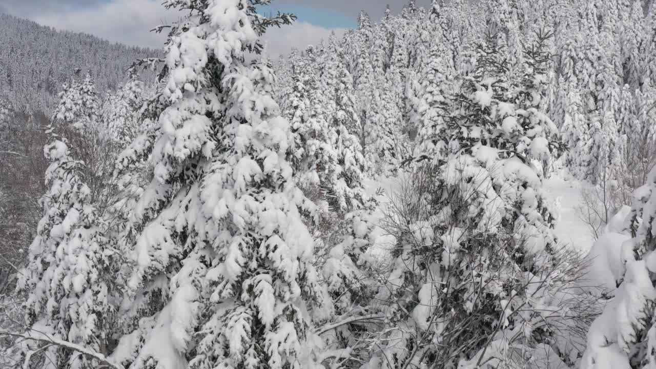 希腊的冬天山林4K超高清全高清航拍镜头视频素材