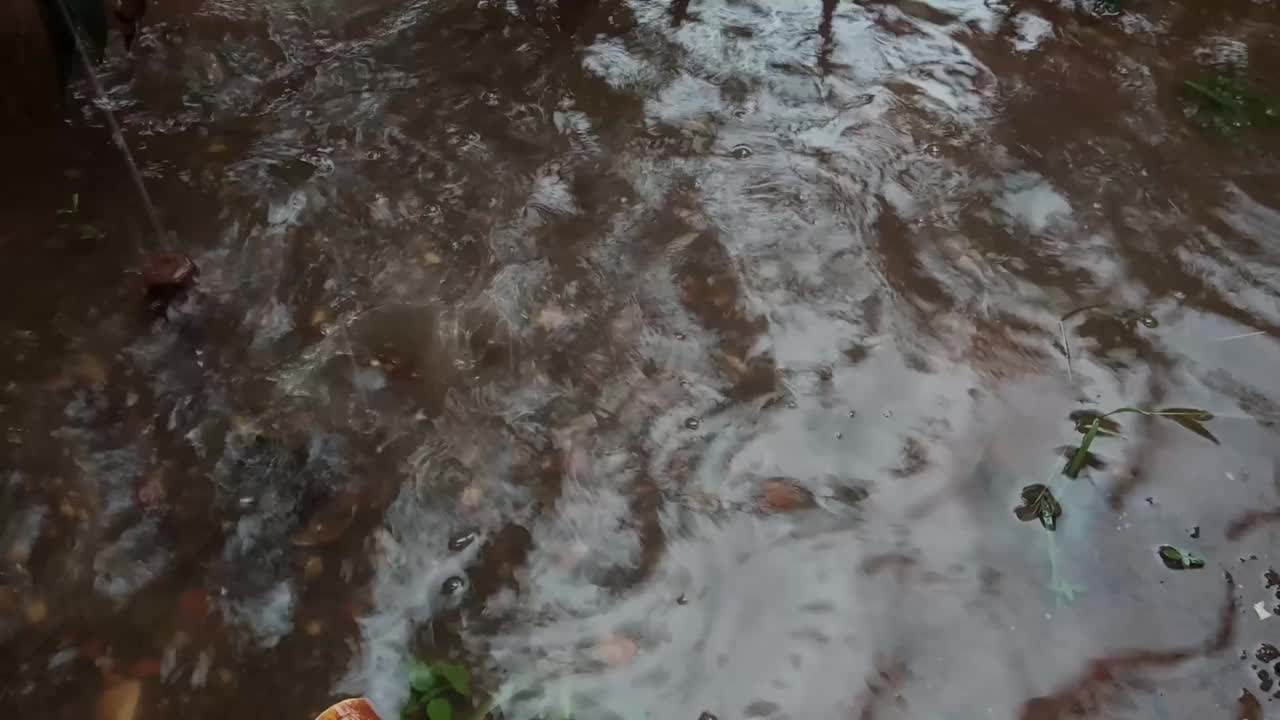 雨视频素材