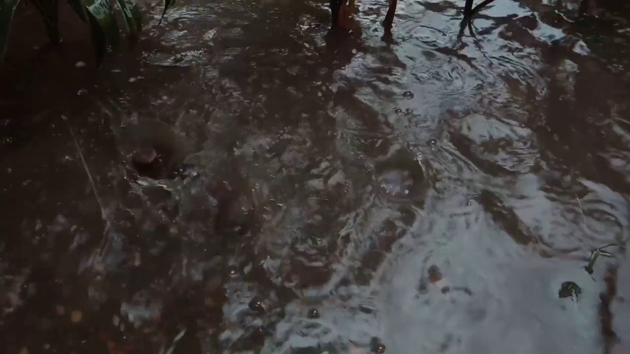 雨视频素材