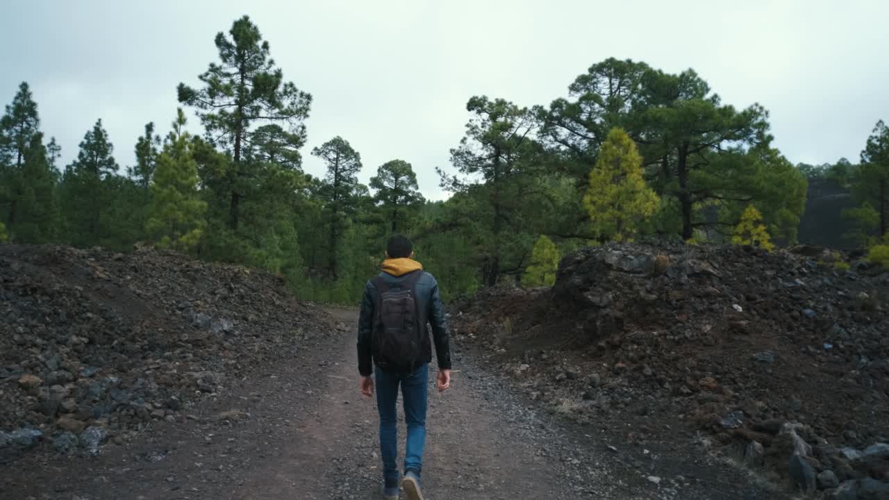 一名旅行者走在特内里费岛泰德火山国家公园Chinyero火山顶部的松林中视频素材