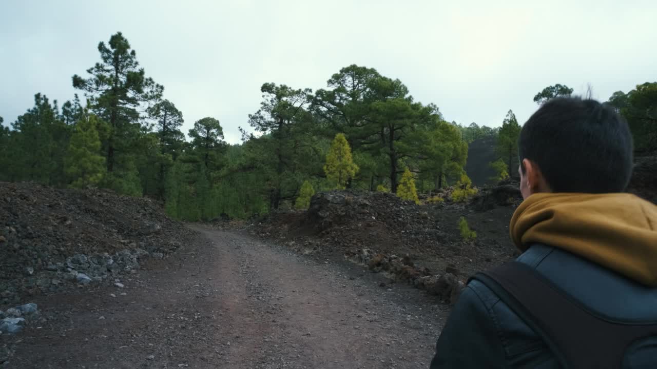 一名旅行者走在特内里费岛泰德火山国家公园Chinyero火山顶部的松林中视频素材