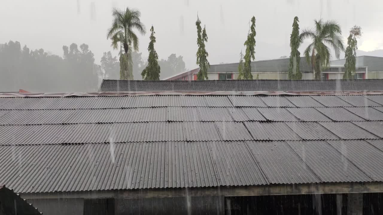 大雨视频下载