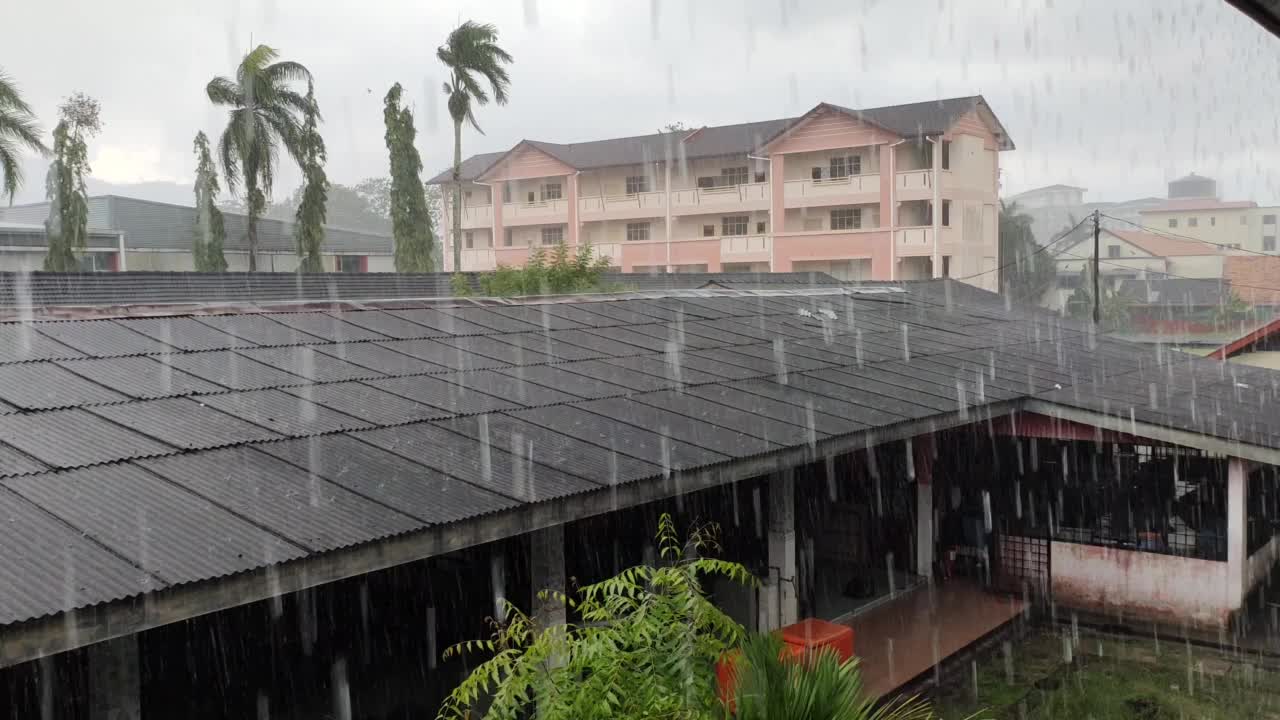 大雨视频下载