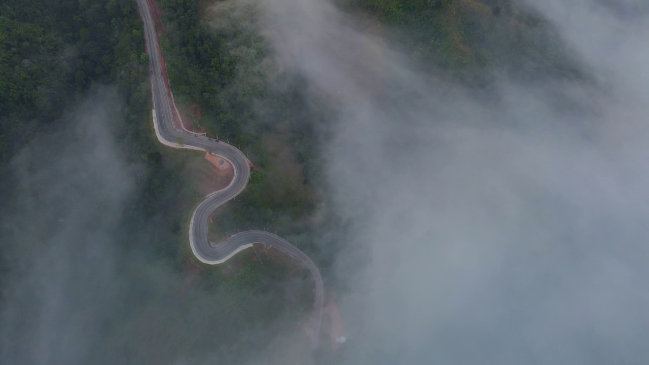 在自然的道路上视频素材