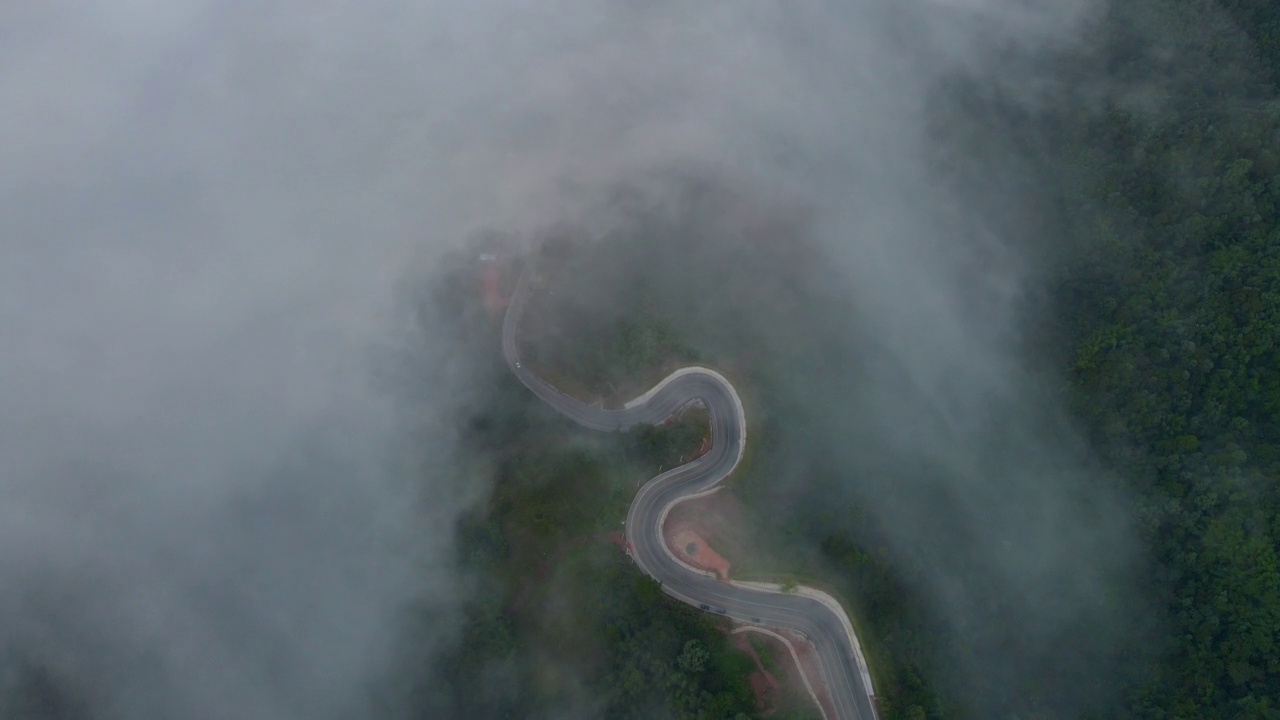 在自然的道路上视频素材