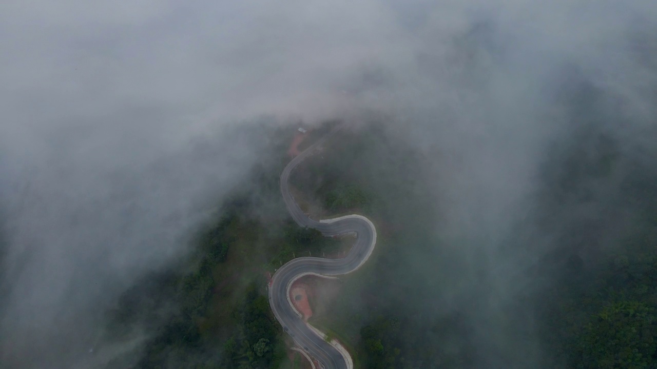 在自然的道路上视频素材