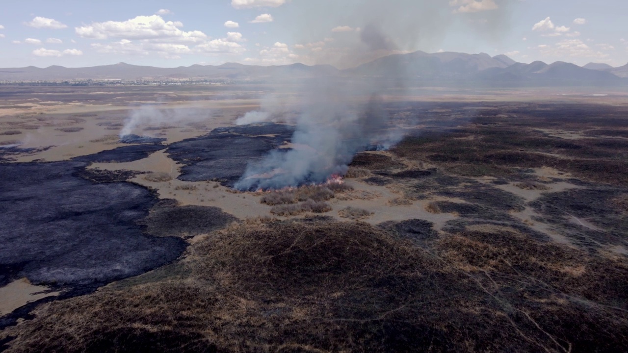 一片田地着火了，缕缕浓烟升入天空视频素材