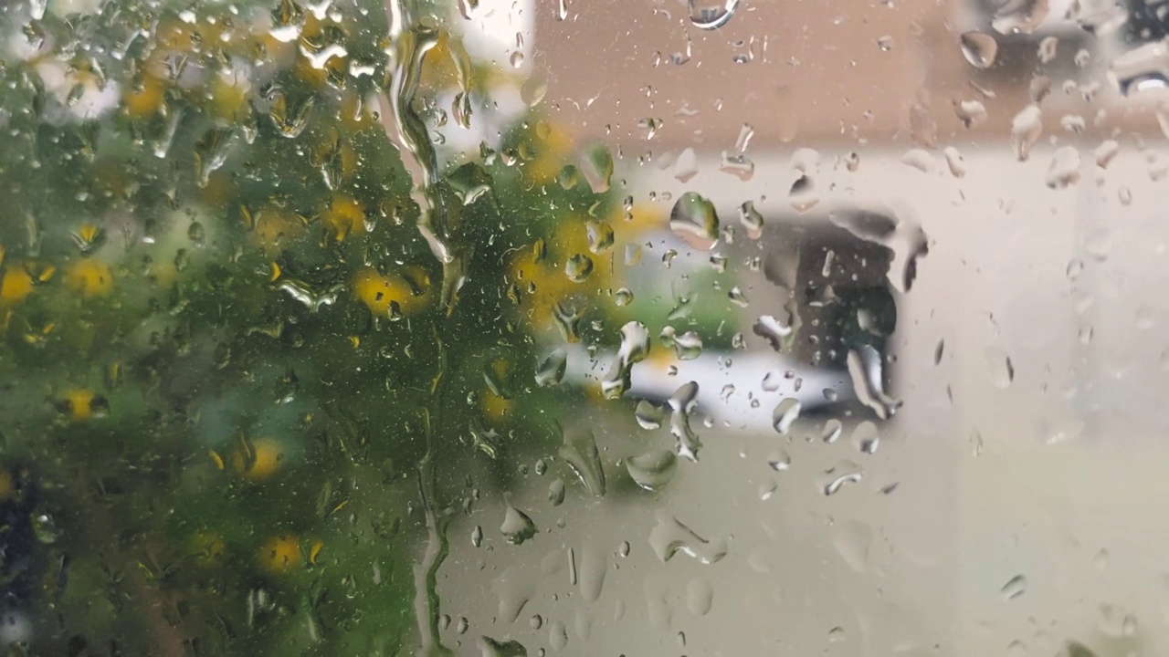 大雨，强风暴，树木摇晃。视频素材