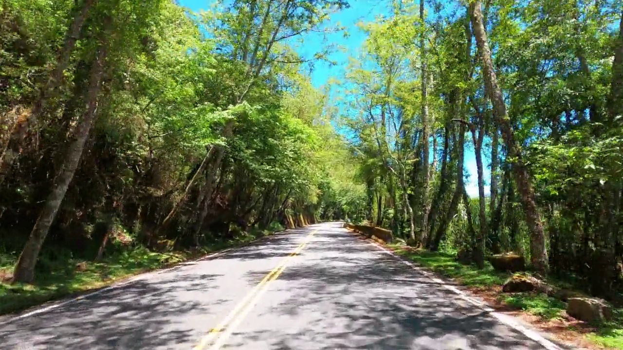 在具有自然景观的道路上驾驶汽车视频素材