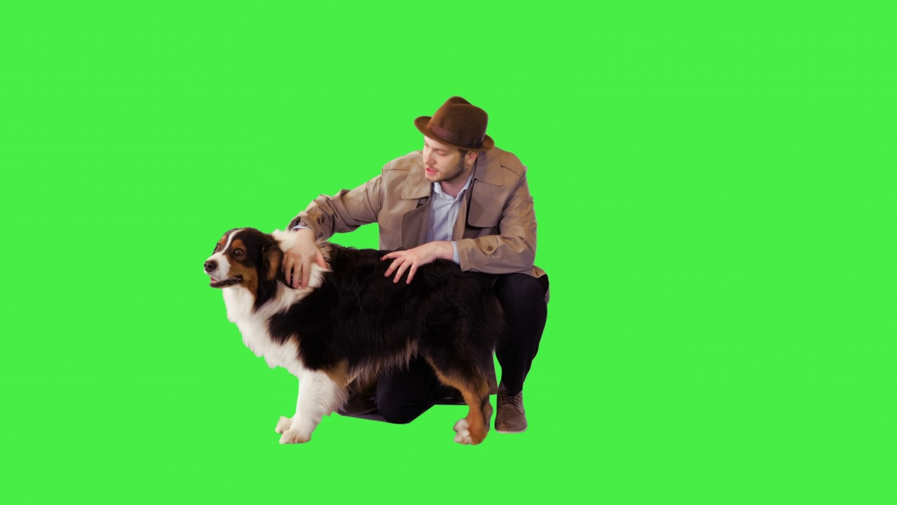 一只名叫Chroma Key的澳大利亚牧羊犬在绿屏上与主人拥抱视频下载