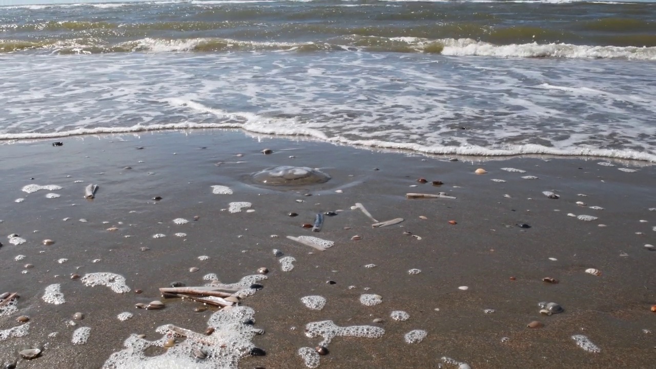 沙子和海浪，沙滩上的贝壳视频素材