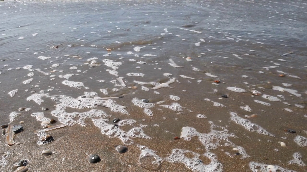 沙子和海浪，沙滩上的贝壳视频素材