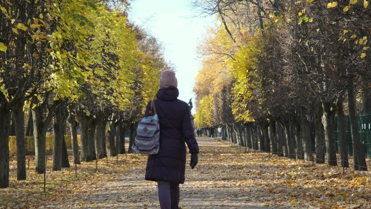年轻女子在秋天公园散步的背影视频素材