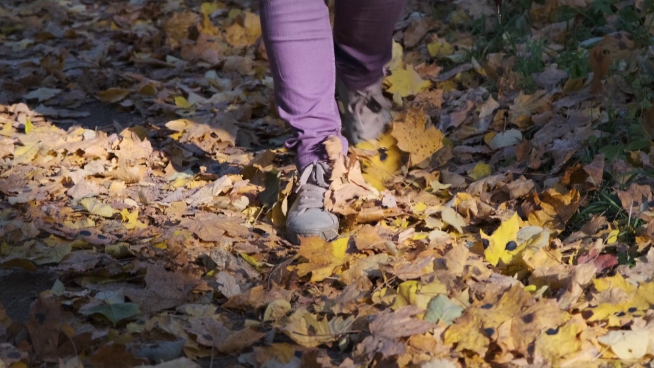 女人走在秋叶缤纷的小路上视频素材