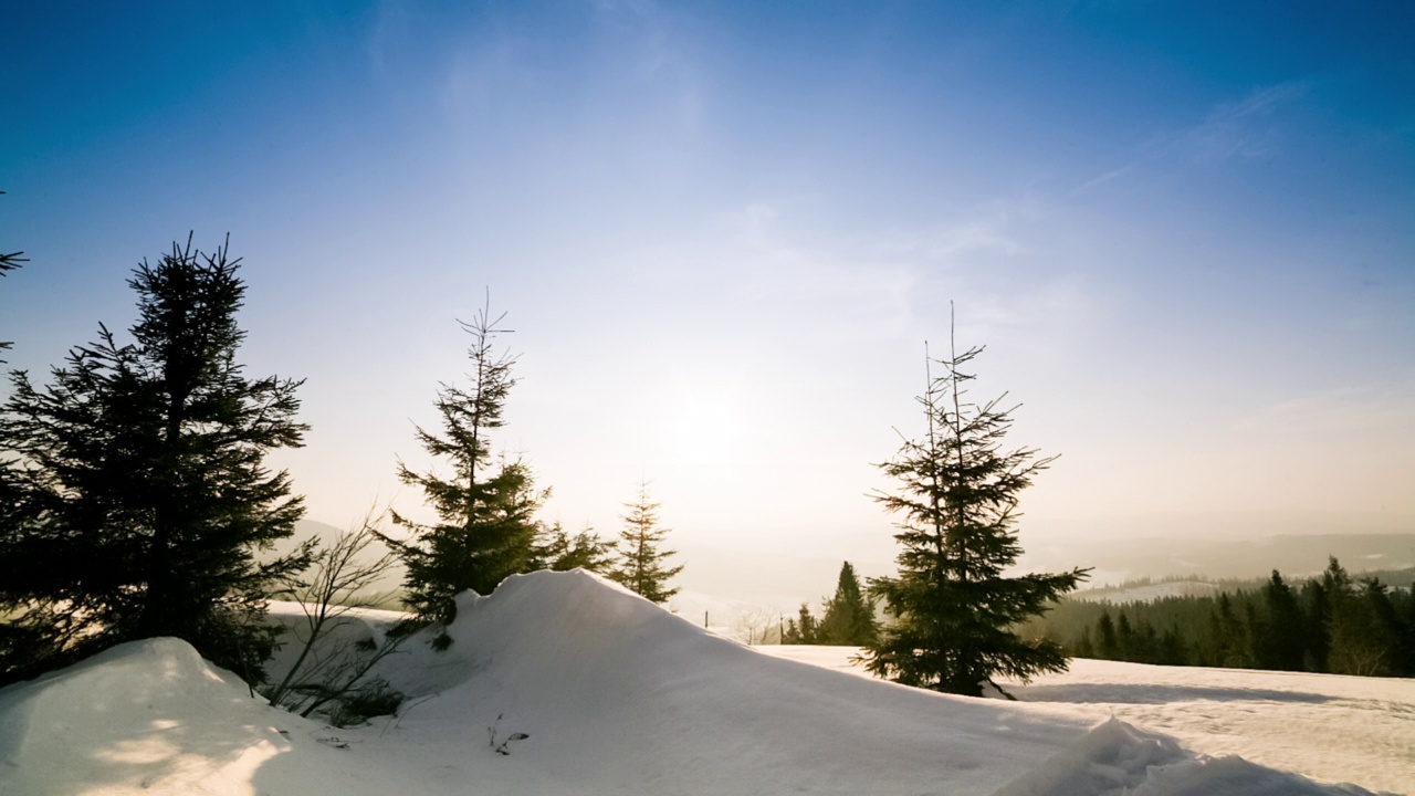 美丽的冬季山景。太阳从被雪覆盖的冷杉树枝上钻了出来。地面和树木都覆盖着一层厚厚的新鲜蓬松的雪视频下载