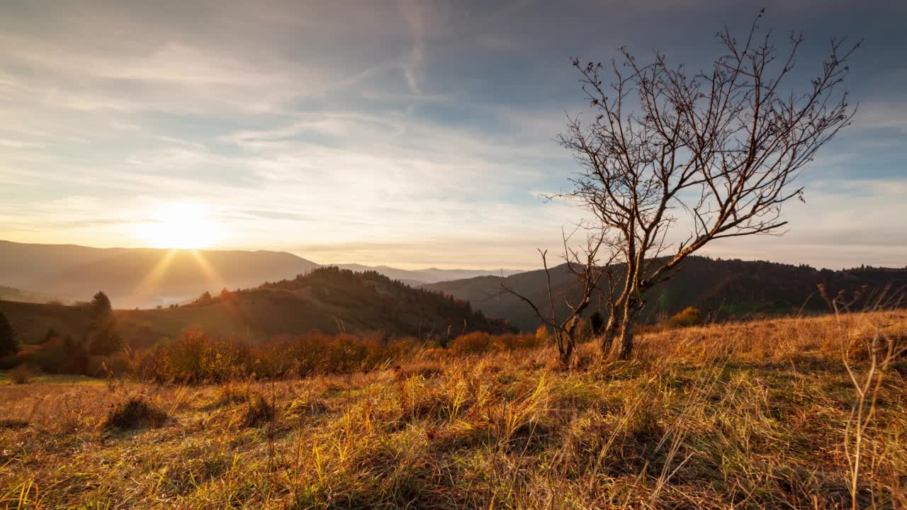 乌克兰,喀尔巴阡山脉。日落的时间推移在山和松树的背景。高质量间隔拍摄。视频下载