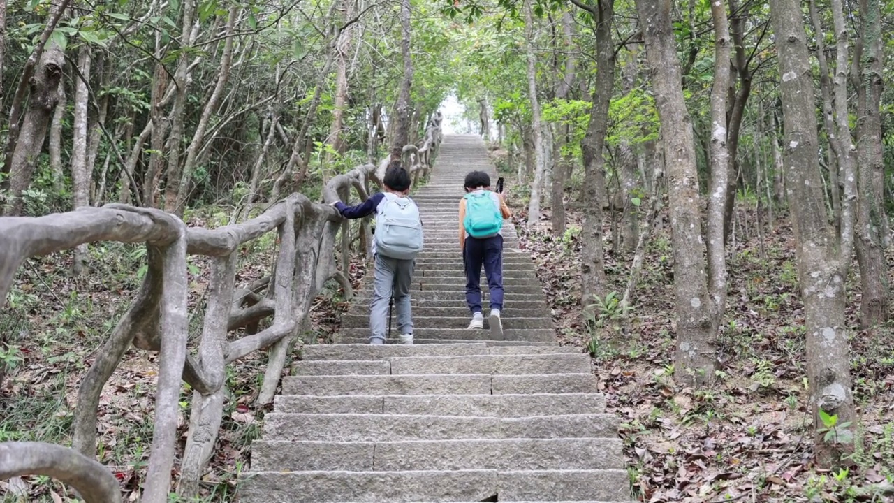 在山上徒步旅行的亚洲儿童视频素材