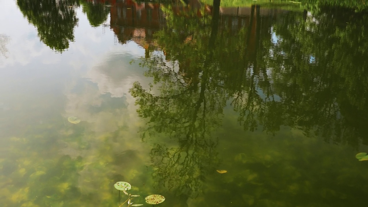 夏天的树和城堡，倒影在池塘里视频素材