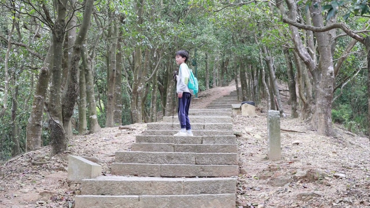 在山上徒步旅行的亚洲儿童视频素材