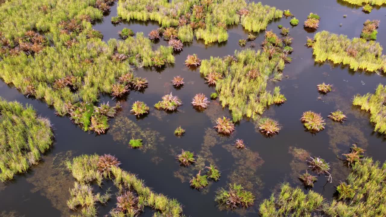 高空滑翔湿地视频素材