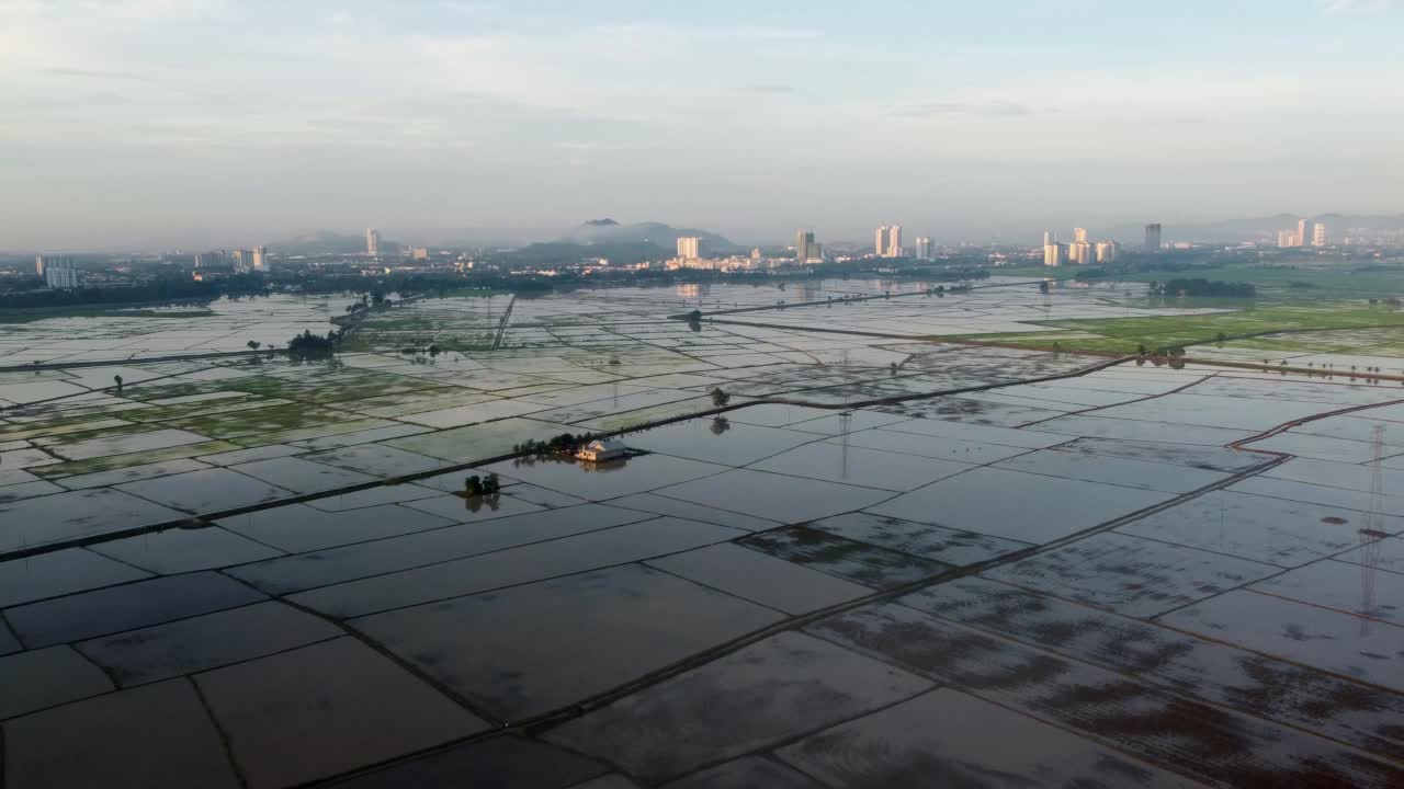 水田上空的鸟瞰阳光视频素材