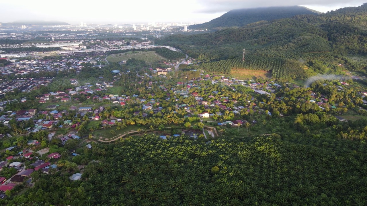 俯瞰油棕种植园附近的村庄视频素材