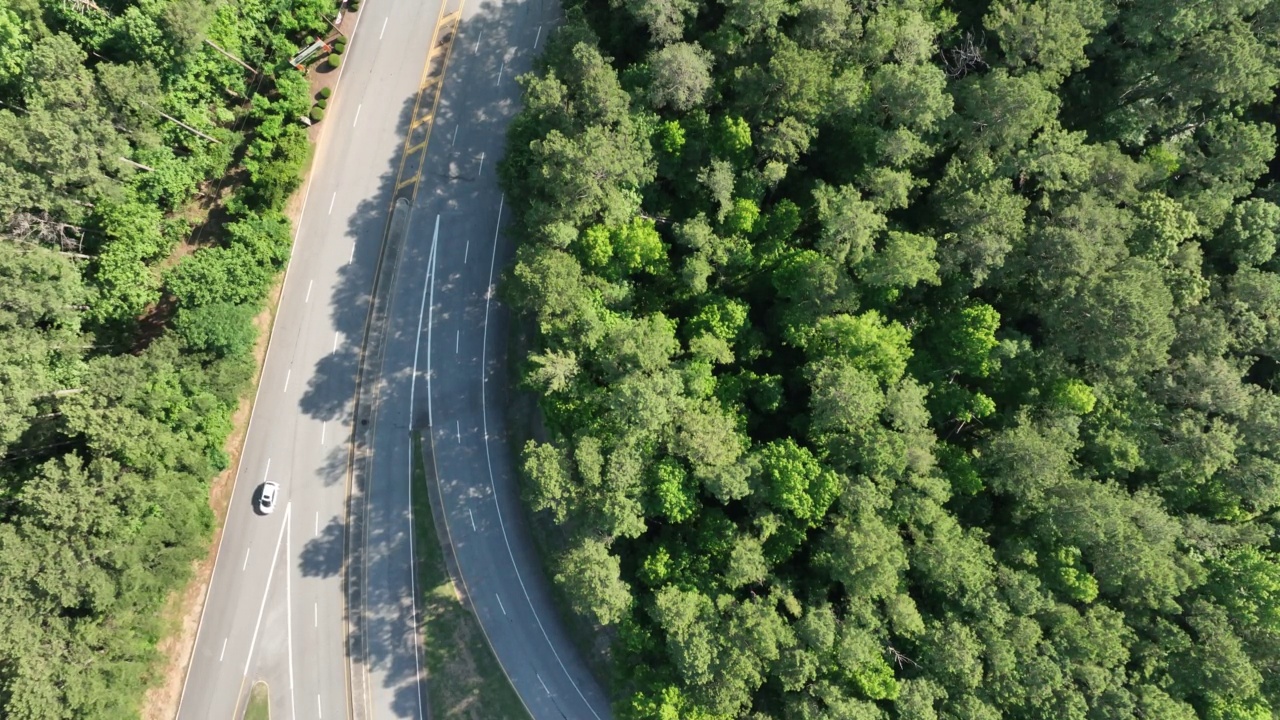 道路和树木视频素材