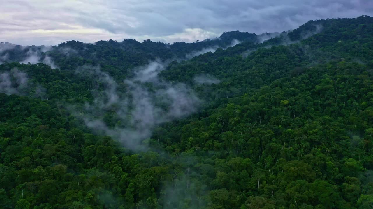 令人惊叹的鸟瞰图，在一个黑暗的日子里，雾覆盖着绿色的热带森林视频素材