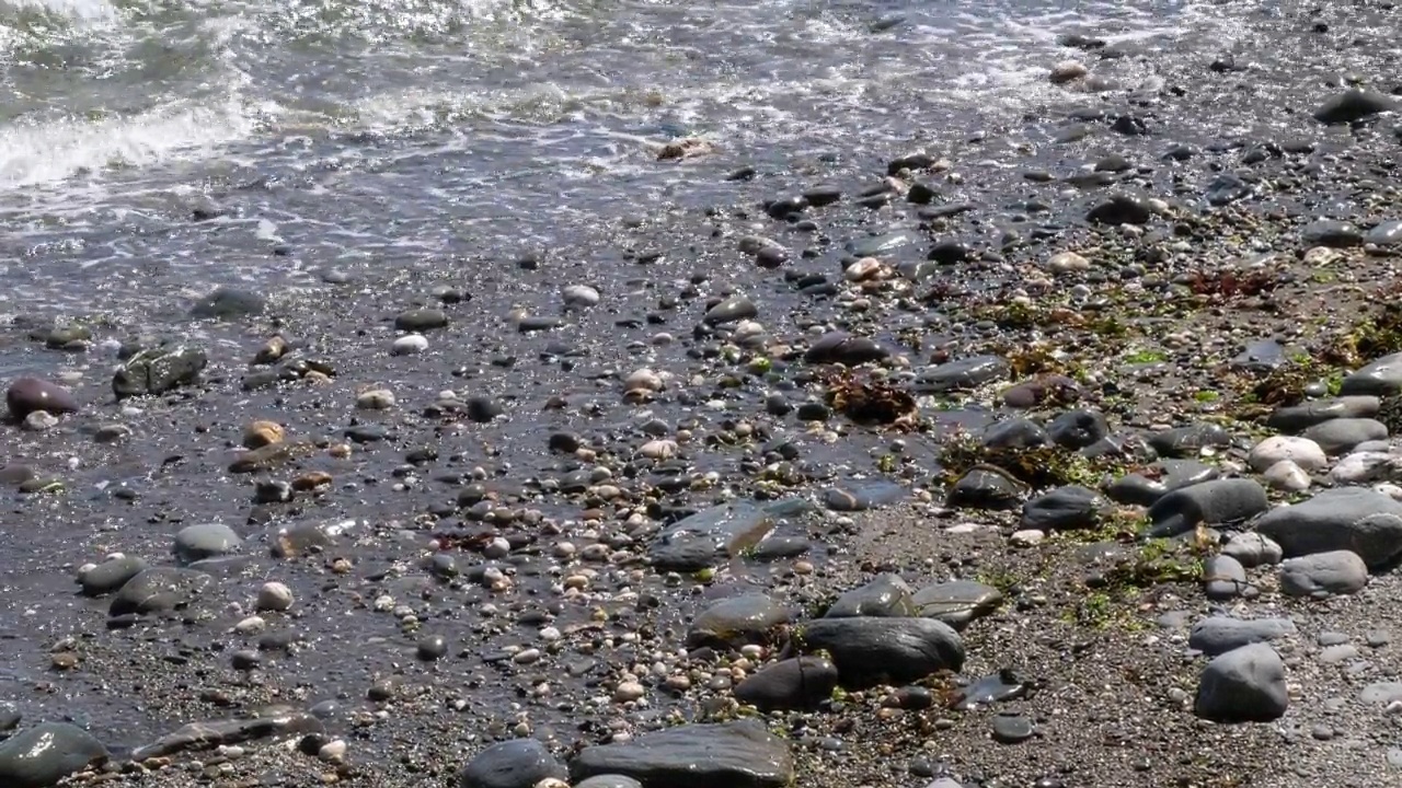 潮湿的鹅卵石和海岸的海浪。水面上有白色的泡沫。手持视频。视频素材